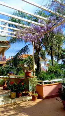 Giardino di Route 114