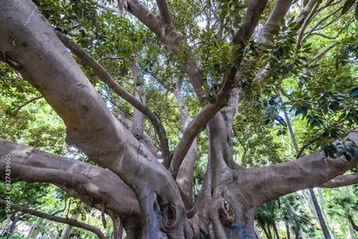 Planimetria di La Casa del Moro Catania Centro - Villa Bellini