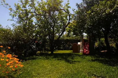 Giardino di B&B CasaNera