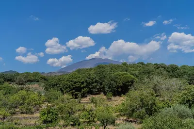 Paesaggio naturale nelle vicinanze della casa vacanze