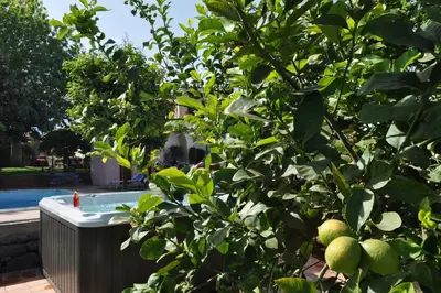 Giardino di Villa Praiola - Exclusive seafacing mansion with pool and Jacuzzi
