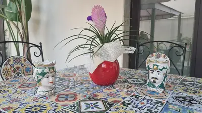 Planimetria di 
