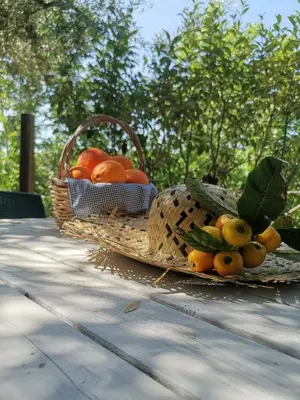 Cibo presso the country house o nelle vicinanze
