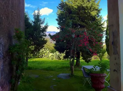 Giardino di Villa Bonaccorso - antica e maestosa villa con piscina ai piedi dell'Etna
