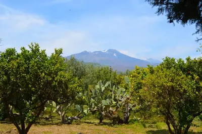 Paesaggio naturale nelle vicinanze dell'appartamento
