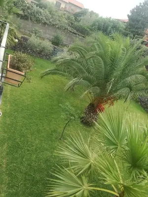 Giardino di I capricci dell'Etna 1 di Puglisi