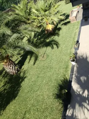 Giardino di I capricci dell'Etna 1 di Puglisi