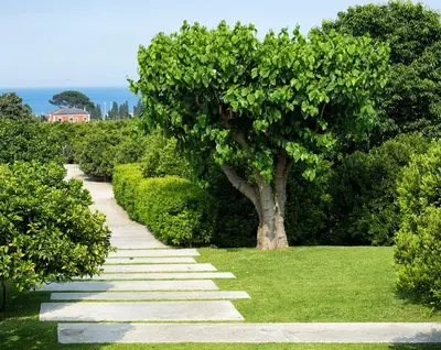 Paesaggio naturale nelle vicinanze dell'hotel