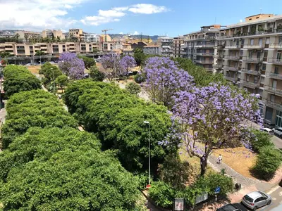 Il quartiere o una zona nella vicinanze dell'appartamento