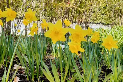 Giardino di PrimeStay