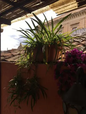 Planimetria di La Mansarda-roof