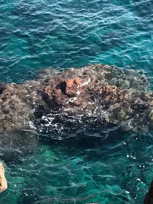 Paesaggio naturale nelle vicinanze dell'affittacamere