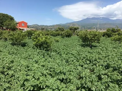 Vista generica sulle montagne o vista sulle montagne dall'interno del campeggio