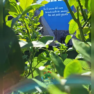 Giardino di Made in Sicily Santa Tecla