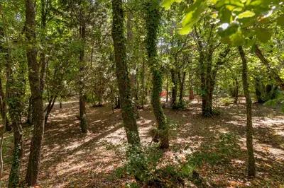 Paesaggio naturale nelle vicinanze della villa