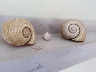 Planimetria di Casa Vacanza SalGiò