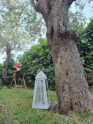 Giardino di Villa Martina