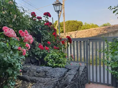 Giardino di Villa Martina