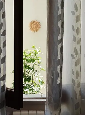 Planimetria di Casa Ninetta