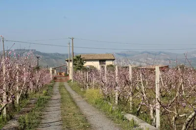 Paesaggio naturale nelle vicinanze dell'affittacamere