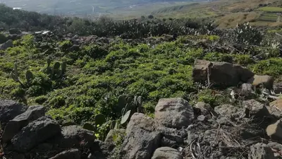 Paesaggio naturale nelle vicinanze della casa vacanze