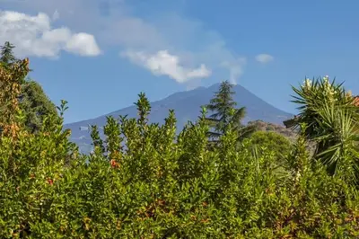 Paesaggio naturale nelle vicinanze della casa vacanze