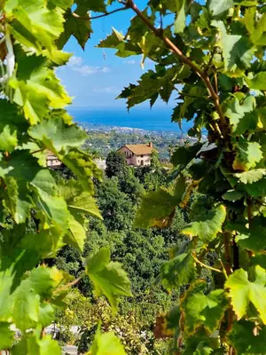 Paesaggio naturale nelle vicinanze della villa