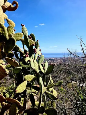 Paesaggio naturale nelle vicinanze della villa