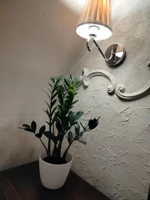 Planimetria di Azalea house