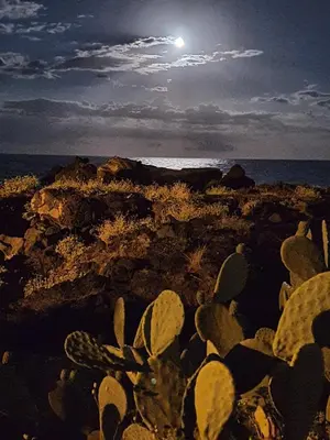Paesaggio naturale nelle vicinanze dell'appartamento