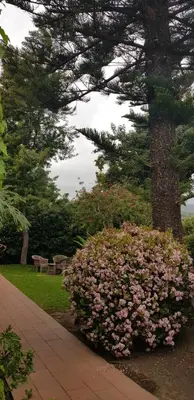 Giardino di Etna Hotel