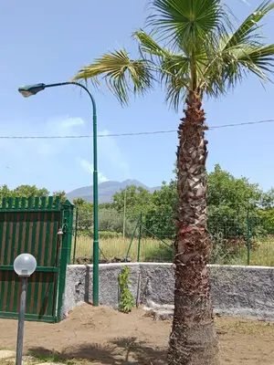 Planimetria di Risveglio sull'Etna