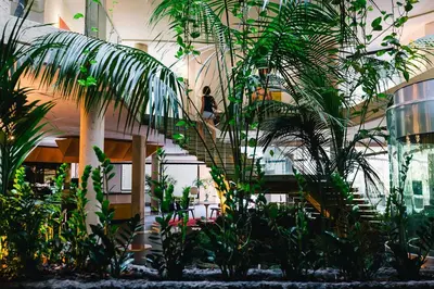 Giardino di Four Points by Sheraton Catania Hotel