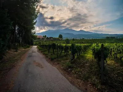 Paesaggio naturale nelle vicinanze dell'appartamento