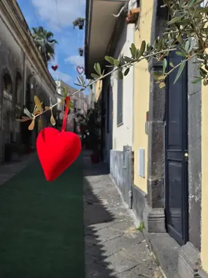 Il quartiere o una zona nella vicinanze dell'appartamento