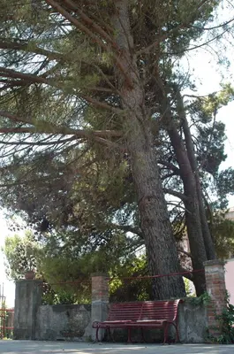 Giardino di B&B Sotto i Pini