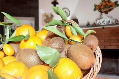 Planimetria di Casa Leopina Apri gli occhi e vola oltre il mare