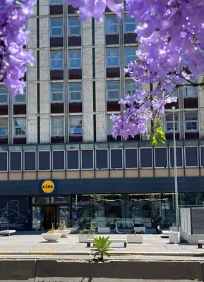 Edificio in cui si trova l'appartamento