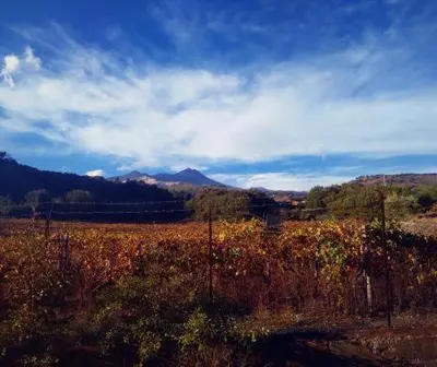 Paesaggio naturale nelle vicinanze dell'affittacamere