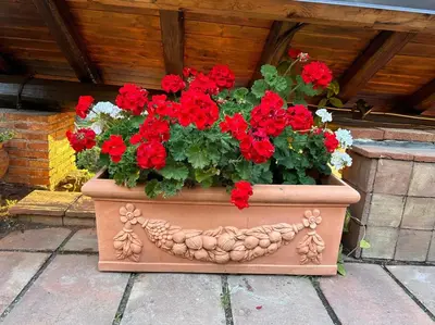 Planimetria di Villa del Sole