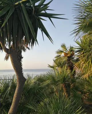 Paesaggio naturale nelle vicinanze dell'appartamento