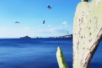 Paesaggio naturale nelle vicinanze della casa vacanze