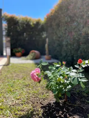 Giardino di MB Giurati Suites