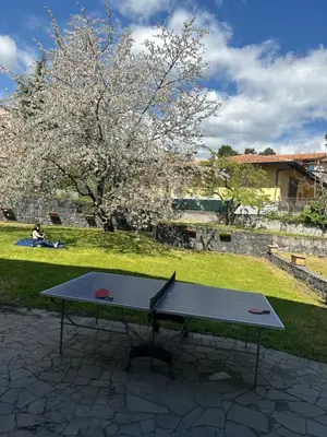Giardino di Etna sotto il ciliegio